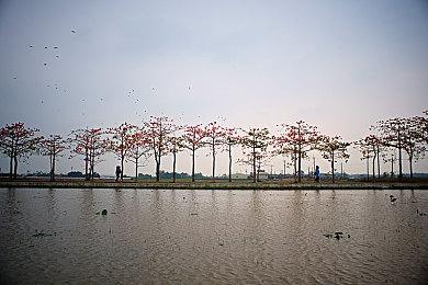 虚幻引擎5.5现已发布 手游开发、动画制作重大改进